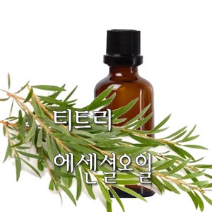 허니솝 티트리 아로마 에센셜오일, 티트리 에센셜오일 30ml, 1개