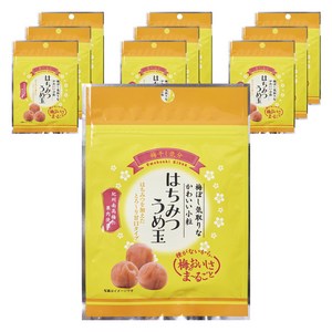 Teramoto 벌꿀 씨없는 매실장아찌 우메보시, 10개, 17g