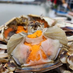 국내산 냉동 꽃게 게 알배기 암꽃게 숫꽃게, 꽃게 1kg, 1개