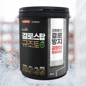 결로방지페인트 삼화 아이럭스 결로스탑 규조토페인트 베란다 세탁실 곰팡이방지, 1개, 4L, 백색(화이트)