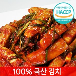 [전라도찐맛] 당일제조 오이부추김치, 1개, 1kg