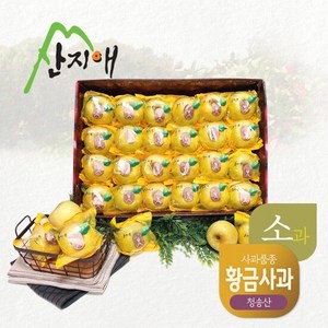 산지애 씻어나온 어린이 꿀사과 5kg 1box 봉지 세척사과 당도선별 12bix, 1개