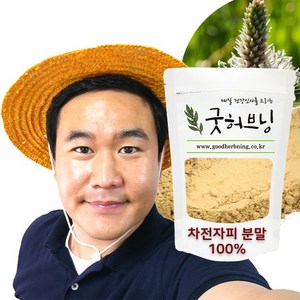 차전자피 식이섬유 가루 분말 차전차피 효능 500g 굿허브닝, 1개