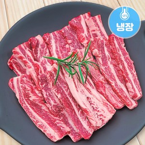 한성미트뱅크 한우 갈비살 구이용 300g 우시산한우 1등급이상 (무료배송), 1개