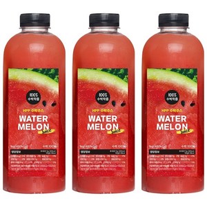 CAFE FRUIT 프리미엄 100% 착즙 HPP 수박주스 (패트), 3개, 1L