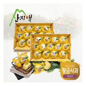 산지애 황금사과 시나노골드 3kg 2box / 중과 청송산 당도선별 12bix ↑, 2개, 상세 설명 참조