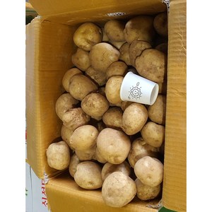 알뜰농장 2024년 햇 수미 보슬이 감자( 왕특.특 크기 )3kg~10kg내외, 1개, 2024년  수미(보슬)햇 감자 특크기 3kg내외