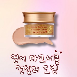 스킨푸드 연어 다크서클 컨실러 10g, 01호 살몬 블루밍, 1개