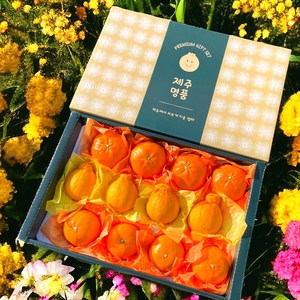 인기최고 최상품선별 제주 혼합 과일 선물 세트, 선물용 3kg, 1개