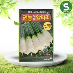 여름 알타리무씨앗 25g 사계절 재배 H형태 무씨앗, 1개