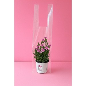 [비닐company] PE투명 와인비닐 꽃다발비닐 손잡이비닐, 50개
