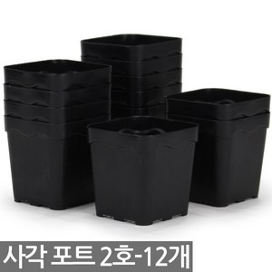 사각 포트 2호 12개 - 모종판 연결포트 모종 다육포트 트레이 재배 씨앗 연결포트 묘목 모판 화분 다육이, 02_세인_사각포트 연결구(24구), 1개