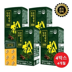 [예현마케팅-본사판매]송침유 송침팔팔 침향 100 솔잎증류농축액 고농축 적송유 송침유, 1정, 120개