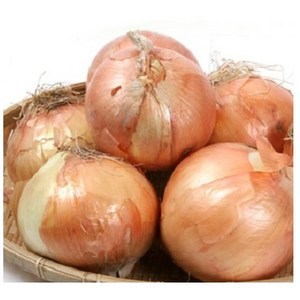 아빠의 마음 국내산 양파 3kg 5kg 10kg, 10kg(중품), 1개