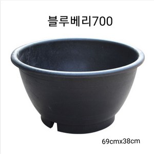 블루베리700 플라스틱화분 대형화분