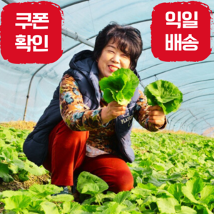 우리농산물 산지직송 거창 머위 곰취, 1박스, 산지직송거창곰취(1kg)