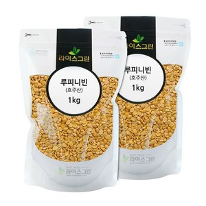 라이스그린 루피니빈 2kg 루핀빈 루피니빈콩 호주산 100%, 2개, 1kg