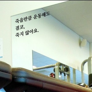 헬스장 스티커 레터링 글자컷팅 글씨 시트지 다이어트 명언, 죽을만큼 운동해도 결코 죽지 않아요(대), 고딕체, 화이트