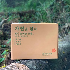 화성당제과 어르신선물 요양원 부모님 할머니 어르신 간식 과자선물세트 명절 어버이날 선물 <실속형>, 1개” loading=”lazy” style=”width: object-fit; max-width: 100%; max-height: 300px; display: block; margin: 0 auto;”>
        </div>
<div style=