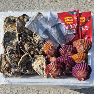 하고잽이수산 브러시세척 깔끔한 통영 석화 가리비세트 (조개칼+회초장증정), 1세트, 석화3kg/가리비2kg