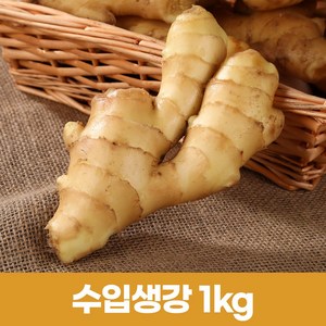 수입생강 세척생강 대강 신선생강 최상품 1kg, 1개