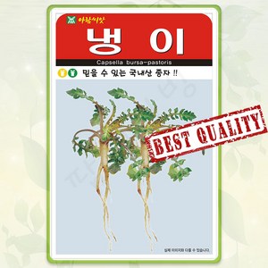 냉이 씨앗 20000립 나물 산나물 약초 종자 씨 봄 여름 가을 냉이씨 AR