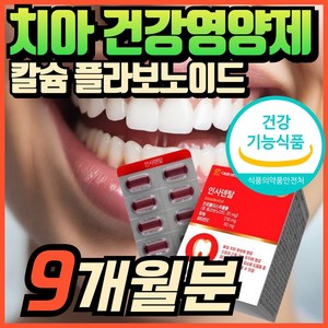 인사덴탈 부모님 70대 80대 노인 시니어 인사 덴탈 에너데이 프로폴리스 플라보노이드 식물성 칼슘제 비타민C 혁2라이프, 3개, 90회분