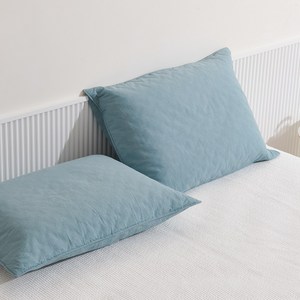 슬립스파 클래식M (50x34) 일반형 라텍스 베개, 솔리드 민트, 1개