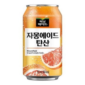 미닛메이드 자몽에이드 탄산 355mlx24캔x2박스, 355ml, 48개