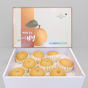 프리미엄 고당도 햇배 신고배 선물용배 나주 배, 1개, 특품 7.5kg (7-10과)