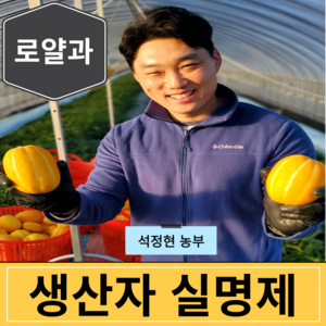 [생산자직송] 고당도 최상급 성주 참외 3kg 5kg 10kg, 1세트, [가정용] 로얄과 10kg