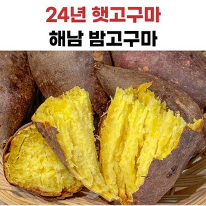 해남 황금 밤고구마, 1개, 10kg(한입)