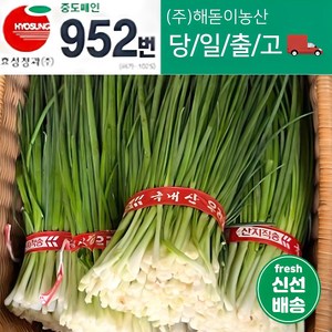 해돋이농산 깐쪽파 1단 2단 3단 5단 10단, 3단(3kg내외), 1개