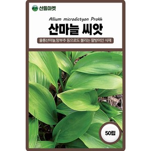 다농 산마늘 씨앗 50립 명이나물씨 산채 종자, 1개