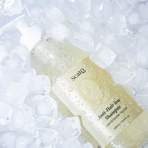 [스칼큐] 비듬 가려움 두피쿨링 탈모완화 기능성 샴푸, 500ml, 2개