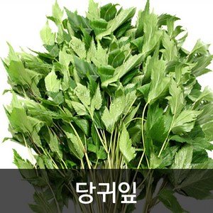 약수농장 당귀잎 1kg, 1박스