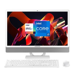 삼성 일체형PC 올인원PC DM530ADA-L78AH+8GB+1TB (인텔 i7-1165G7 60.5cm WIN11 16GB 512GB SSD 1TB HDD), L78A +8GB +HDD 1TB, WIN 11