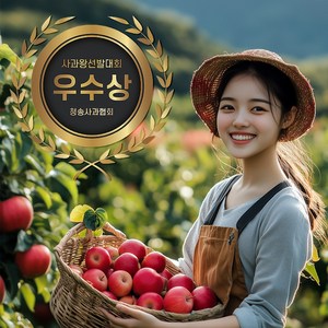 산의선물 청송 사과 꿀 부사 산지직송, 1박스, 3kg 중과(11과) 정품