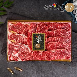 농협안심한우 [바로배송][농협안심한우] 1등급 구이3호 1kg (등심500g채끝500g) 한우선물세트 507820, 1세트