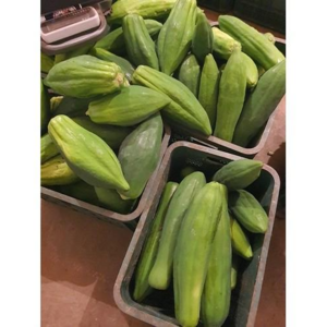 Green Papaya Somtam 국내산 생 그린 파파야 대용량 특품 5kg 10kg, 1개