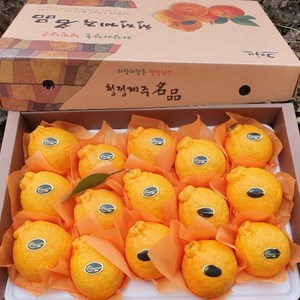 슈퍼 프리미엄 선물용 한라봉 고급선물가방 포함, 1박스, 3kg 중대과(7-13과)