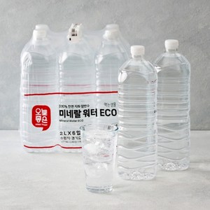 오늘좋은 미네랄워터ECO 2L*6입, 6개, 2L