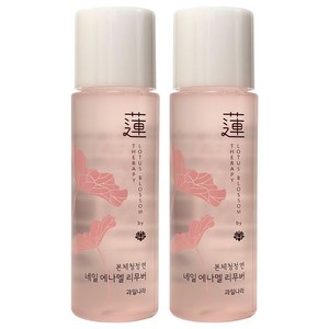 과일나라 본체청정 연 네일 에나멜 리무버, 2개, 100ml