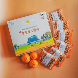 은가비 감귤칩오란다 (10개입), 40g, 10개