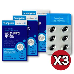 영진약품 영플랜 눈건강 루테인 지아잔틴 15g, 3개, 30정