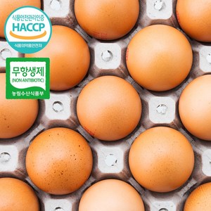 [유통연구소] HACCP 인증 맥반석 구운계란 대란, 1개, 30구