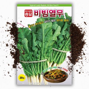 비빔 열무씨앗 (20g) 쌈채 비빔밥용 생식 열무씨 종자, 1개