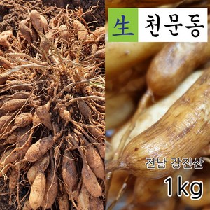 국산 전남 강진 남해안 5년근 생천문동 1kg 당일채취 생산자 직판, 1개