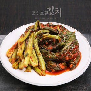 조선호텔 비법소스!! 조선호텔 갓김치 진하고 깊은맛!, 500g, 1개