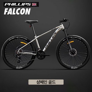 필립스 FALCON MTB 자전거 하드테일 산악 입문용 하드테일, 샴페인 골드, 24인치, 27단